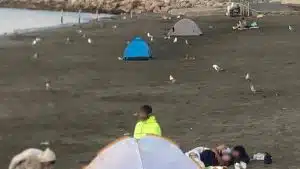 Salerno, bivacchi notturni sulle spiagge: l’allarme del consigliere Naddeo
