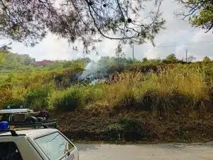 Casal Velino Incendio