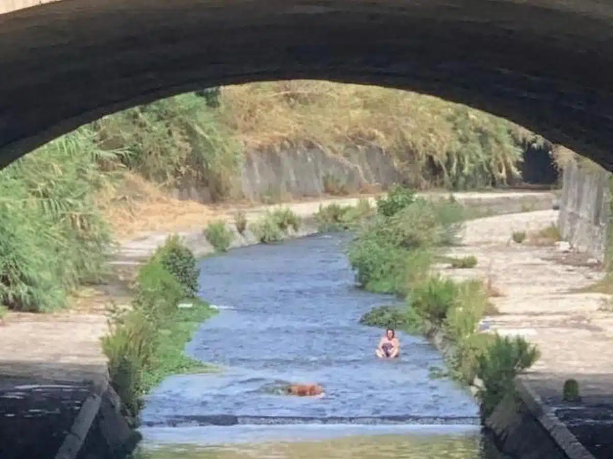 crisi idrica provincia salerno 7 agosto