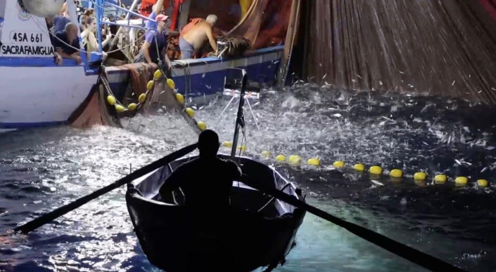 costiera amalfitana nuove attrezzature pesca