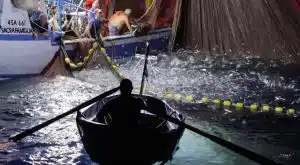 costiera amalfitana nuove attrezzature pesca