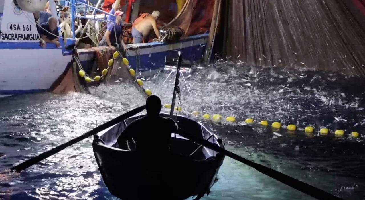 costiera amalfitana nuove attrezzature pesca