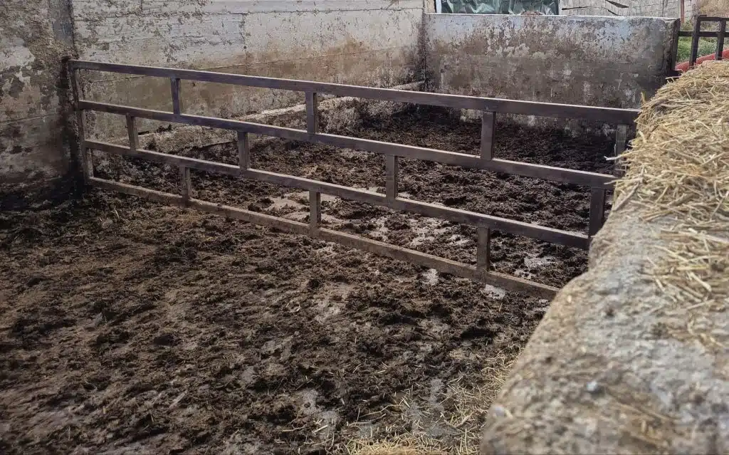 smaltimento illecito reflui capaccio paestum denunciato imprenditore
