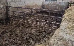 smaltimento illecito reflui capaccio paestum denunciato imprenditore