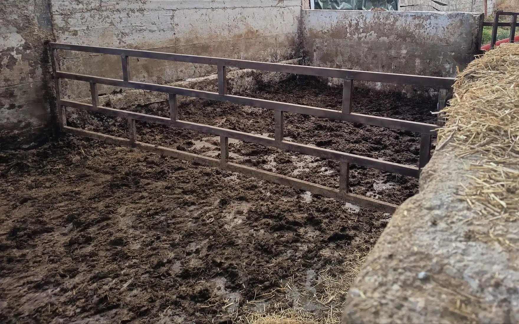 smaltimento illecito reflui capaccio paestum denunciato imprenditore