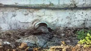 Capaccio Paestum sversamenti abusivi