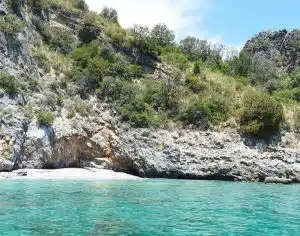 scario doppio intervento dolori anziano bambino