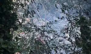 Nocera Superiore, incendio sul versante della montagna Tondi