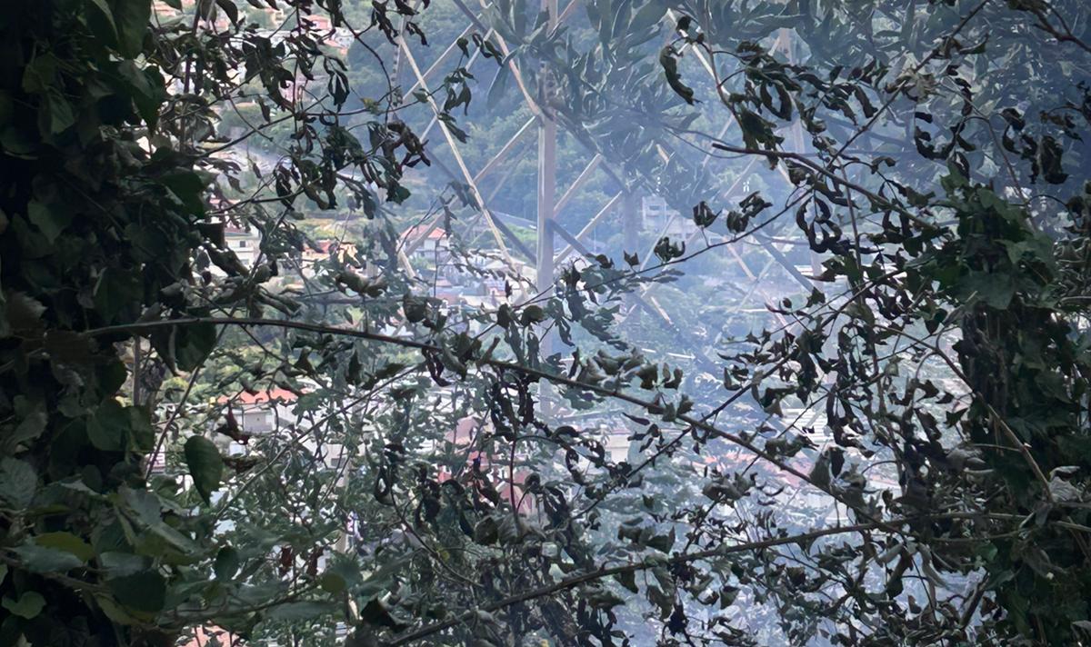 Nocera Superiore, incendio sul versante della montagna Tondi