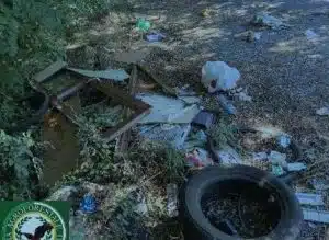 padula buonabitacolo discariche abusive