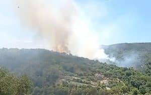 incendio camerota oggi 5 agosto