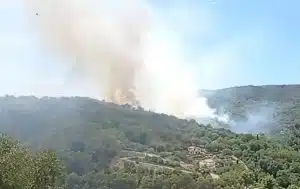 incendio camerota oggi 5 agosto