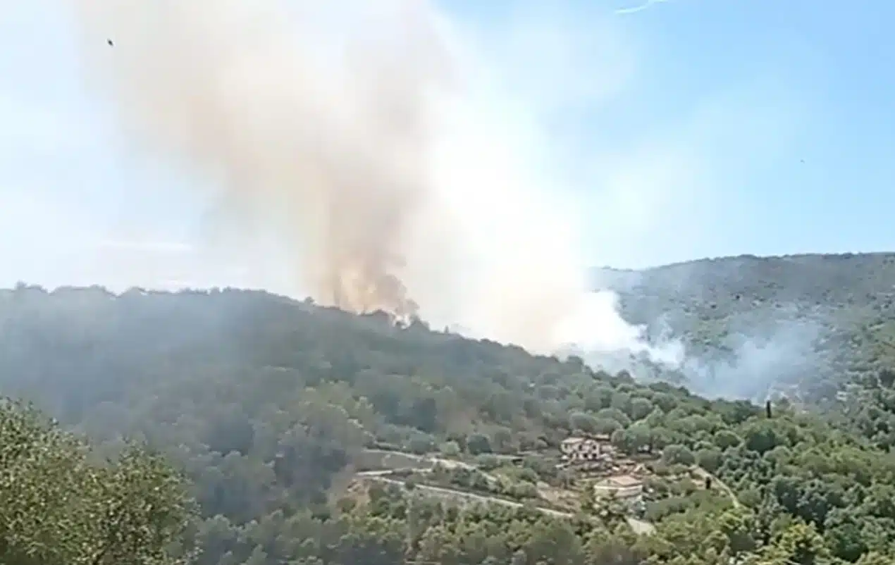 incendio camerota oggi 5 agosto