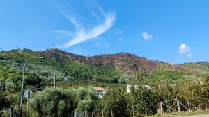 Fisciano incendi boschi