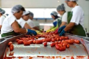 salerno assunzioni turismo agroalimentare