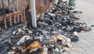 Incendio rifiuti Fuorni salerno