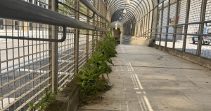 Salerno incuria sottopasso