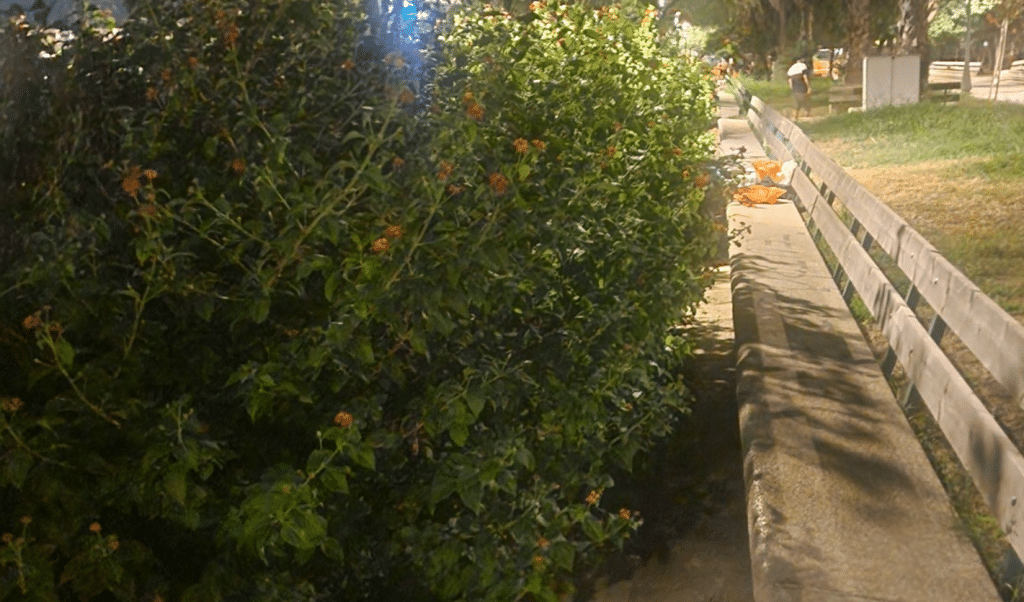 Salerno degrado lungomare