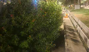 Salerno degrado lungomare