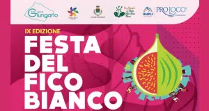 Giungano festa fico bianco