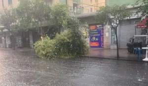 salerno pioggia