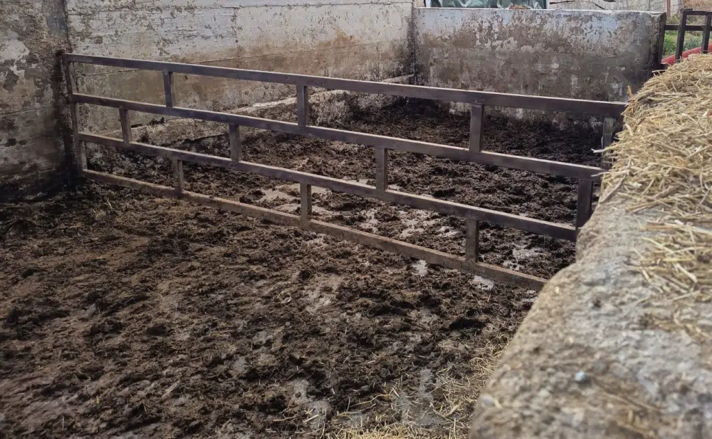 capaccio paestum sversamento illecito