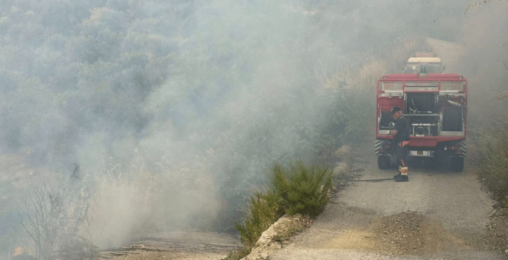 Incendio Caprioli Pisciotta