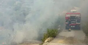 Incendio Caprioli Pisciotta
