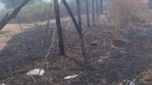 san mango piemonte incendio vigneto 3 agosto