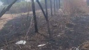 san mango piemonte incendio vigneto 3 agosto