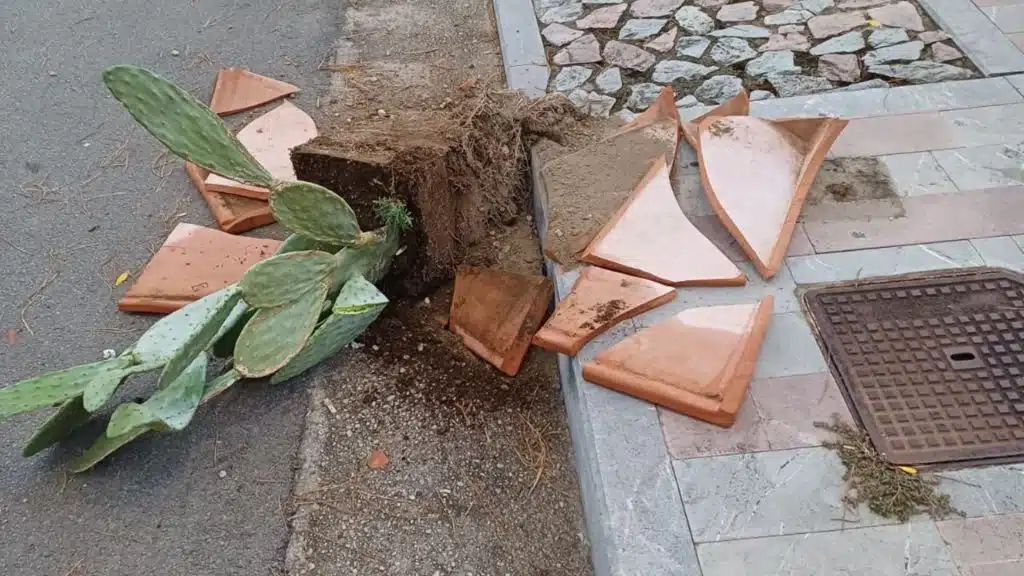 vandali palinuro distrutti vasi ornamentali