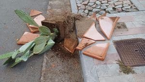 vandali palinuro distrutti vasi ornamentali