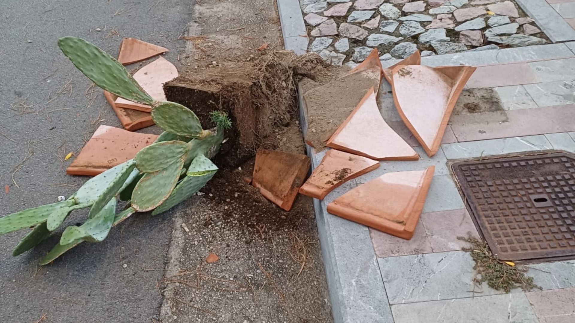 vandali palinuro distrutti vasi ornamentali