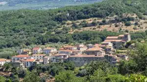 corleto monforte filiera stato brado cinghiali