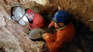 Nel cuore del Carso triestino una grotta porta il nome di Camerota: la scoperta di Vincenzo e Francesco Orza