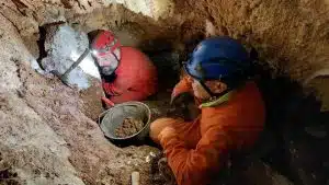 Nel cuore del Carso triestino una grotta porta il nome di Camerota: la scoperta di Vincenzo e Francesco Orza
