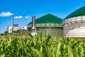 ogliastro cilento impianto biometano partiti lavori