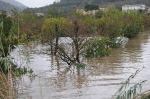 esondazione torrente solofrana nocera superiore inferiore cia campania