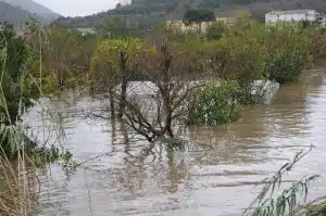 esondazione torrente solofrana nocera superiore inferiore cia campania