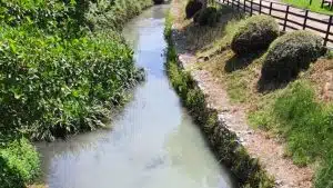 canale inquinato sassano denuncia roberto de luca