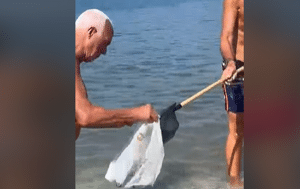 Salerno, topo morto rinvenuto sulla battigia a Mercatello: rimossa la carcassa dai bagnanti