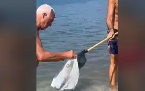 Salerno, topo morto rinvenuto sulla battigia a Mercatello: rimossa la carcassa dai bagnanti
