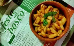 perito festa bosco 2025