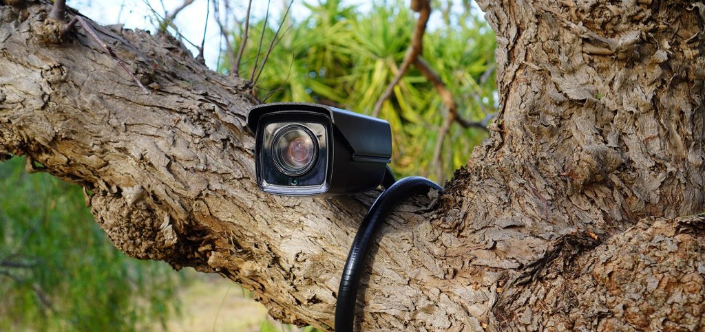 eboli installate nuove fototrappole abbandono rifiuti