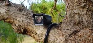 eboli installate nuove fototrappole abbandono rifiuti