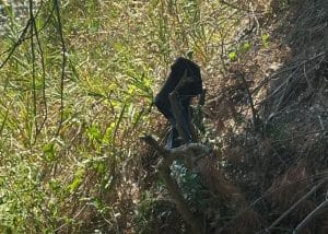 atto osceno casal velino pioppi