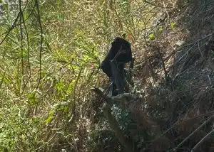 atto osceno casal velino pioppi