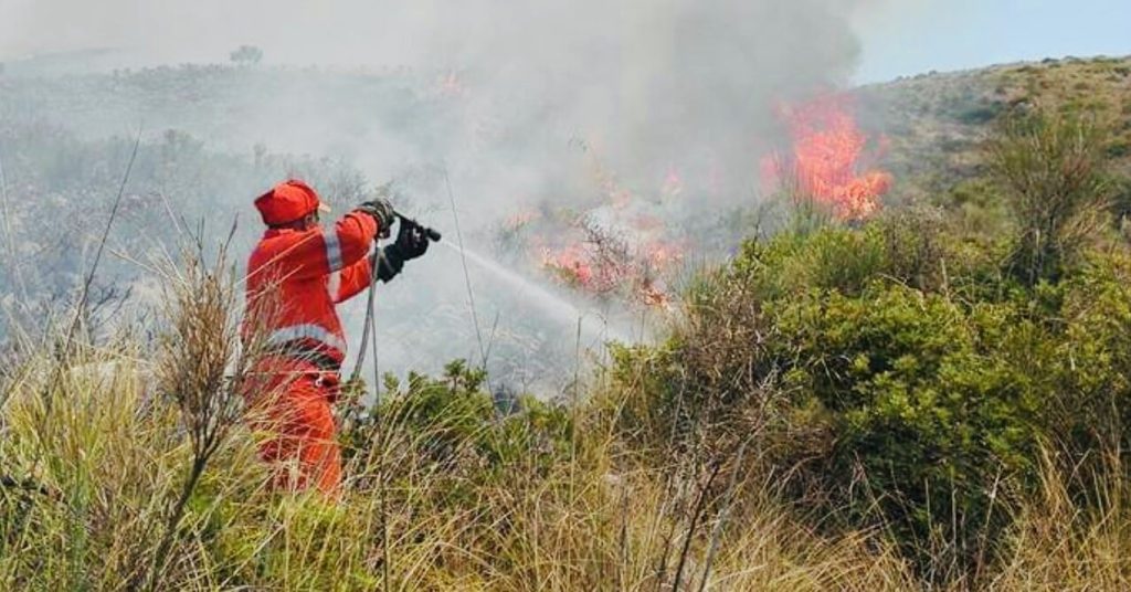 incendi cilento dati estate 2025