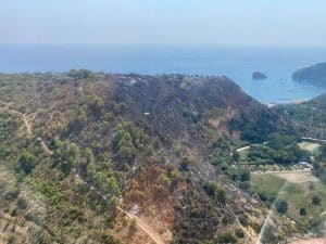 incendi Cilento