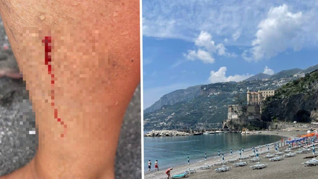 Maiori morso pesce bagnante